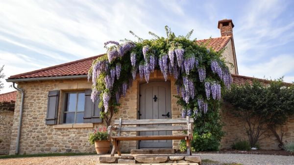 Découvrez les solutions de Cozynergy Occitanie pour votre rénovation énergétique